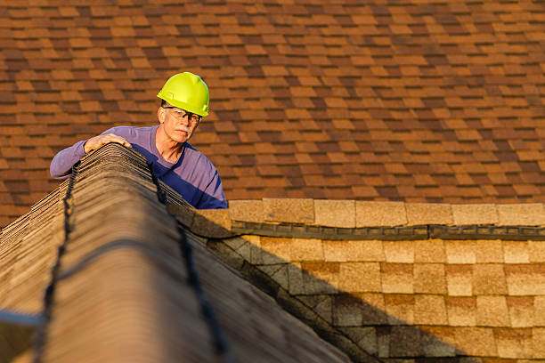 Best Roof Gutter Cleaning  in Detroit Lakes, MN