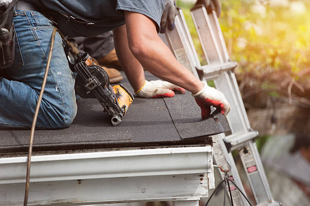 Best Residential Roofing Contractor  in Detroit Lakes, MN