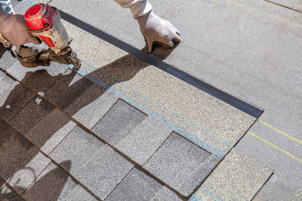 Best Roof Maintenance Services  in Detroit Lakes, MN