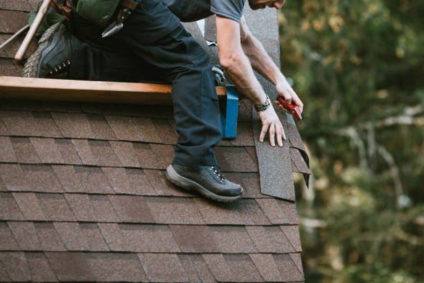 Best Roof Leak Repair  in Detroit Lakes, MN